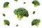 Pieces of broccoli flying on a white background