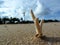 Pieces of coral reef on the beach and tower crane on background