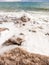 Pieces of crystalline salt on coast of Dead Sea
