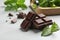 Pieces of dark chocolate with mint