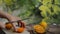 Pieces of fresh sliced orange hand puts in a glass container on a rolled table