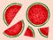 Pieces of Graphic Watermelon Shapes Illustrated