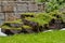 Pieces of lawn piled in a pile in summer