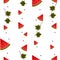 Pieces, leaves and seeds of watermelon on white background