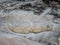 Pieces of massaged dough mixed with black sesame seeds on a table getting ready to be deep fried to make Chinese bread