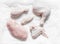 Pieces of raw butchered chicken - legs, thighs, breast, wing on a light background, top view. Raw food ingredients for cooking