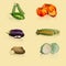 Pieces of vegetables: peas, cabbage, potatoes, corn