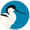 Pied avocet bird Vector illustration Round frame