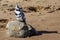 Pied Kingfisher sitting on a rock on a beach in South Africa