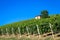 Piedmont hills in Italy with scenic countryside, vineyard field and blue sky