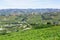 Piedmont hills with vineyards in a sunny day in Italy