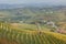 Piemonte vineyards, Langhe, Italy.