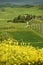 Pienza, Italy - April 24, 2018: Famous Podere Belvedere in spring season, in the heart of the Tuscany. Val d`Orcia.