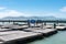 The Pier 39 sea lions migrated for the summer, leaving the docks at this tourist