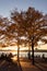 Pier 84 at Hudson River Park during the Fall with a Sunset in Hell`s Kitchen of New York City with Colorful Trees