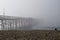 Pier Disappears into the Fog with seagull