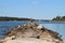 Pier for fishing n birds collecting Off cape cod