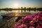 Pier with flowers at sunset. Kanchanaburi