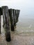 Pier in the Ijsselmeer