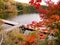 Pier, lake and autumn leaves