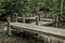 A pier that leads to a path in the woods