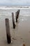 Pier pilings along the beach