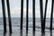 The pier pilings invite all sorts of air and ocean-going animals