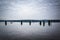 Pier pilings in the Potomac River, in Alexandria, Virginia.