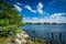 Pier pilings in the Seekonk River, in Providence, Rhode Island.