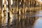 Pier pilings at sunset