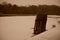 Pier Posts Bundled In Winter - Sepia