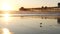 Pier silhouette at sunset, California USA, Oceanside. Ocean tropical beach. Seagull bird near wave