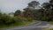 Pierce Point Road in Point Reyes National seashore