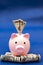 pig and 100 us dollars, blue background.