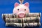 pig and 100 us dollars, blue background.