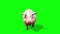 Pig Animal Farm Walkcycle Green Screen Front 3D Renderings Loop Animations