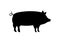 Pig black silhouette. Pork symbol. Piggy silhouette. Farm animal icon isolated on white background.