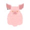 Pig boss. Big fat nasty pig. vector illustration