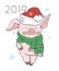 Pig calendar for 2019. Vector editable template with concept. Symbol of the year in the Chinese calendar. Realistic vector