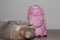 Pig and cat, cat toy, red cat playing with pink pig