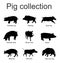 Pig collection vector silhouette illustration isolated on white background. Boar, warthog, red river hog, pumba, domestic swine, b