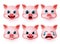 Pig emoji vector set. Pigs cute face emoticon and emojis with happy, crying and surprise expressions.