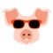Pig face head glasses vector illustration style