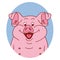 Pig face. Pig isolated. Pig portrait on white background, happy character piggy