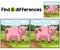 Pig Farm Find The Differences