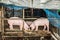 Pig farming small business in Burmese village