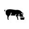 pig feeding farm glyph icon vector illustration