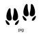 Pig Footprint. Pig track. Track of farm animals. Ungulate animal footprints. Mammal animal. Black Silhouette Design
