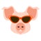 Pig in the glasses face vector illustration flat