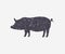 Pig grunge silhouette for meat industry or farmers market logo design. Pork emblem for butcher shop, restaurant, steak house.